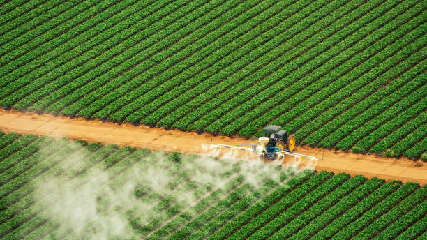 Pest Prevention Services in Hanahan, SC